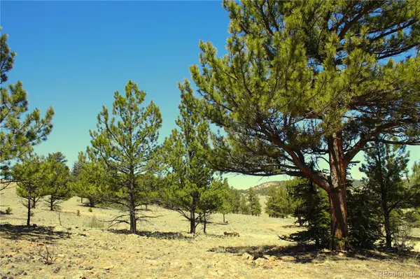 12451 Us-24, Hartsel, CO 80449