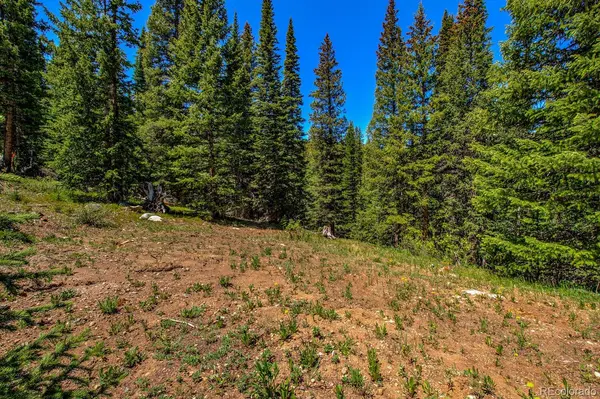 0307 CR 674, Breckenridge, CO 80424