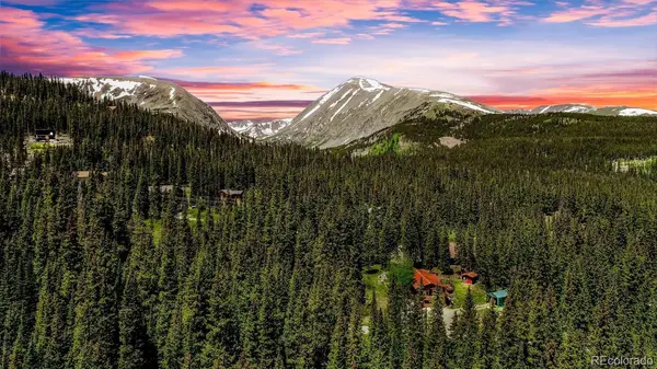 0307 CR 674, Breckenridge, CO 80424