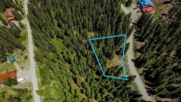 0307 CR 674, Breckenridge, CO 80424