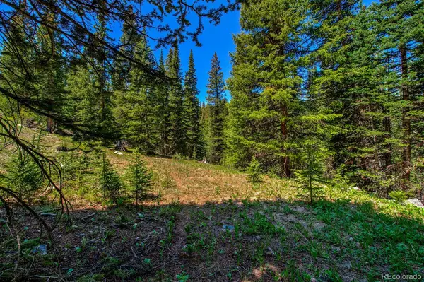 0307 CR 674, Breckenridge, CO 80424