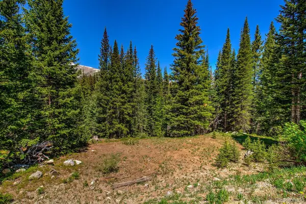 0307 CR 674, Breckenridge, CO 80424