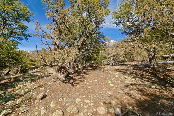 2130 Big Ranch Overlook, Crestone, CO 81131