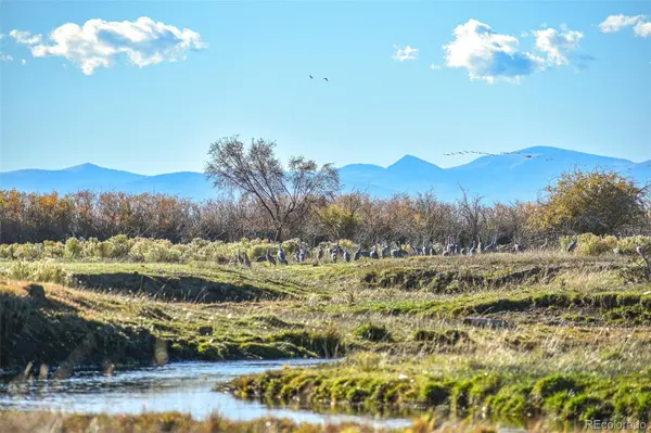 0 County Road 15.5, Blanca, CO 81123