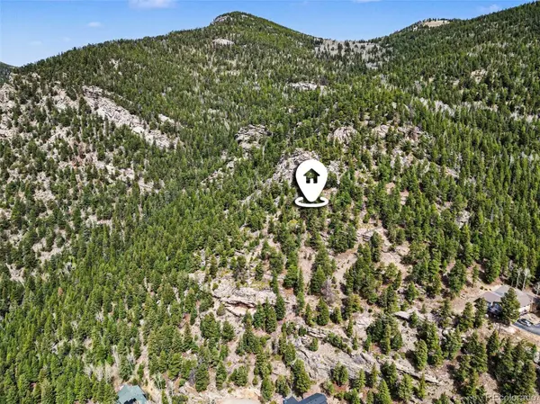 Spruce CT, Evergreen, CO 80439