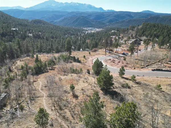 19 Blue Haven PL, Woodland Park, CO 80863