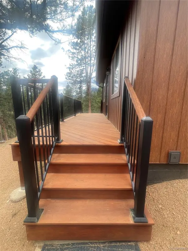 110 Wallace DR, Florissant, CO 80816