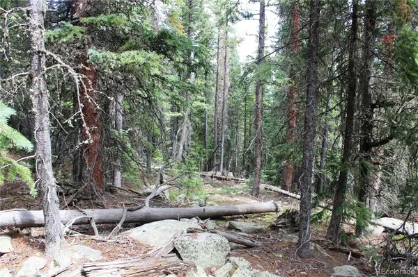 00 Hidden Wilderness RD, Idaho Springs, CO 80452