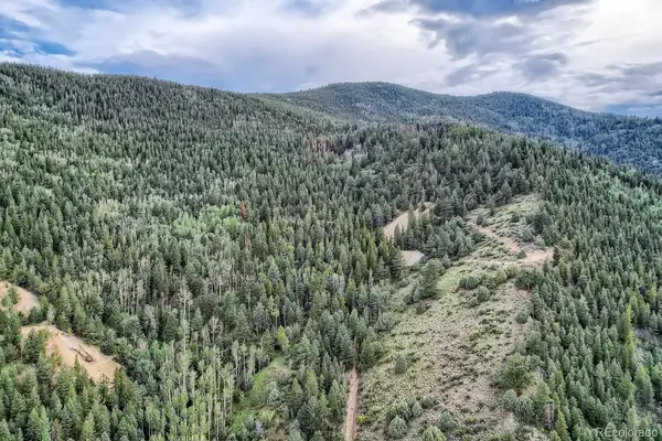 Lots 1 & 2 Harvest Moon Trail, Dumont, CO 80436