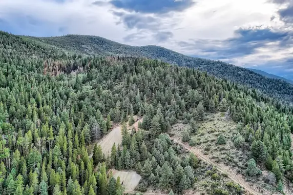 Lots 1 & 2 Harvest Moon Trail, Dumont, CO 80436