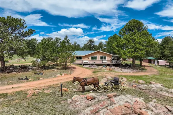 2134 Homestake PL, Florissant, CO 80816