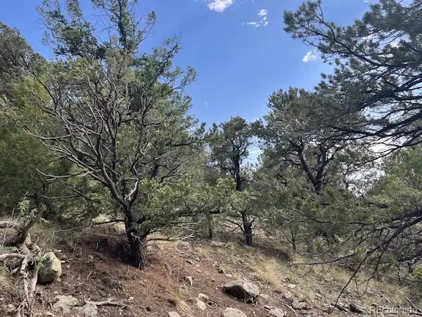 314 Arrastre RD, Mosca, CO 81146