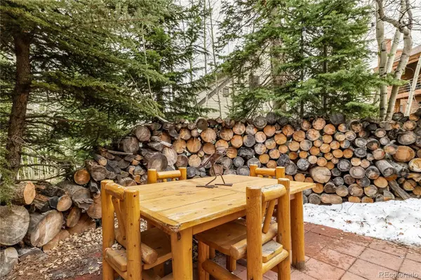 53 Burgundy CIR #A, Silverthorne, CO 80498