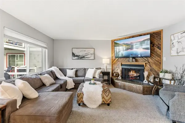 412 S Main ST #1A1, Breckenridge, CO 80424
