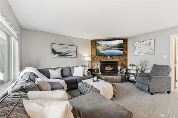 412 S Main ST #1A1, Breckenridge, CO 80424