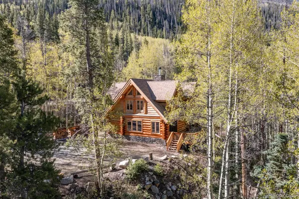24500 County Road 162, Nathrop, CO 81236