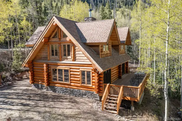 24500 County Road 162, Nathrop, CO 81236