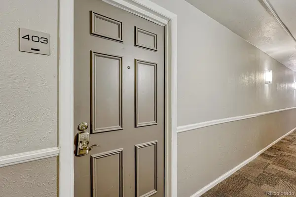 625 N Pennsylvania ST #403, Denver, CO 80203
