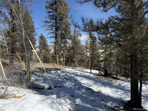 806 Middle Fork VIS, Fairplay, CO 80440