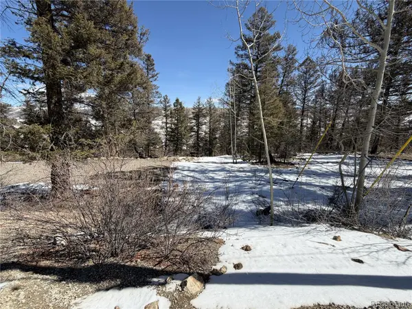 806 Middle Fork VIS, Fairplay, CO 80440