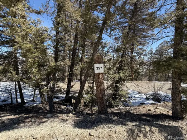 806 Middle Fork VIS, Fairplay, CO 80440