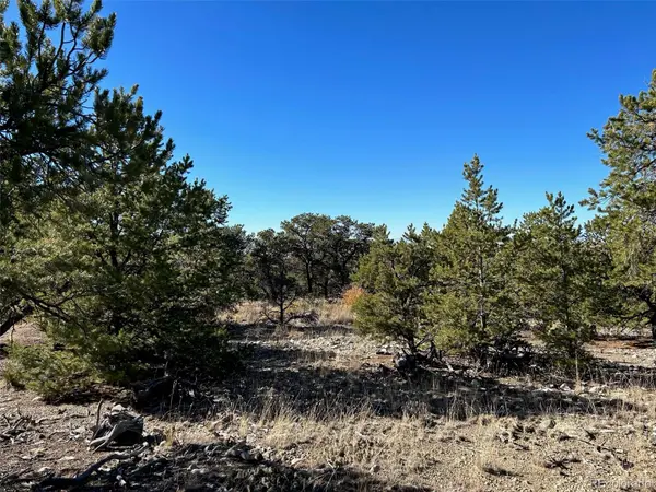 62 Mill RUN, Alamosa, CO 81101