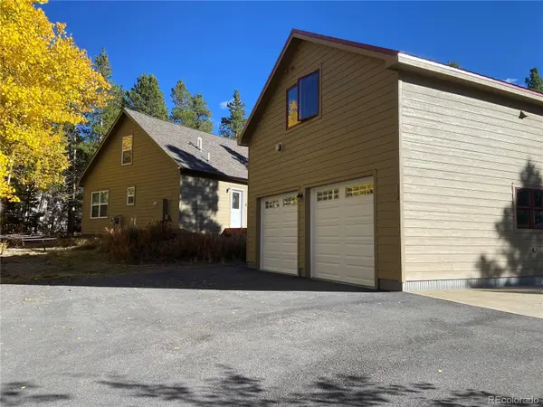 154 Brooklyn CIR, Leadville, CO 80461