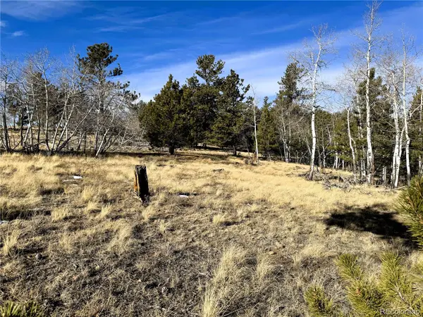 620 Wagon Wheel RD, Hartsel, CO 80449