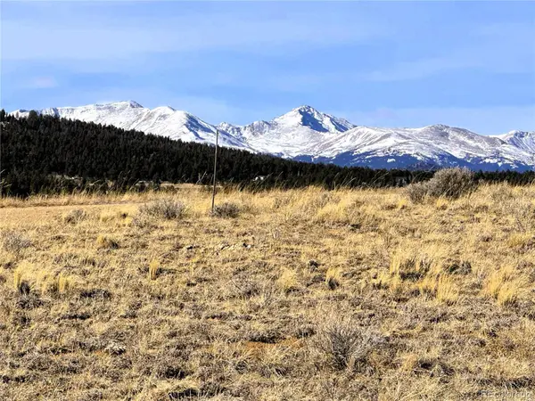 620 Wagon Wheel RD, Hartsel, CO 80449