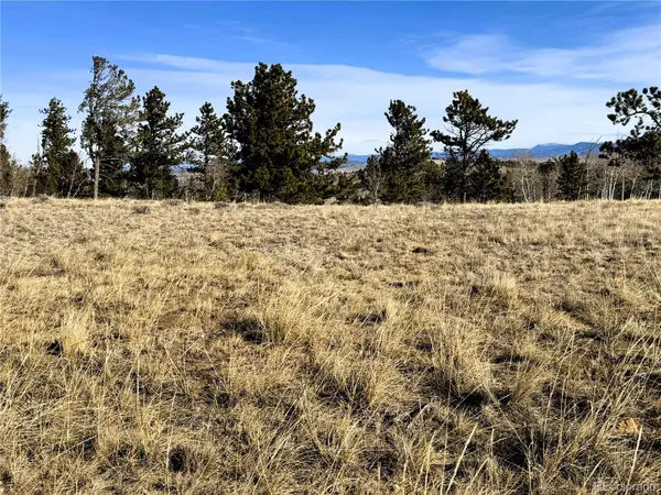 620 Wagon Wheel RD, Hartsel, CO 80449