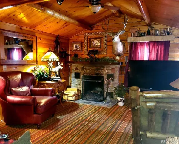 22585 County Road 292, Nathrop, CO 81236