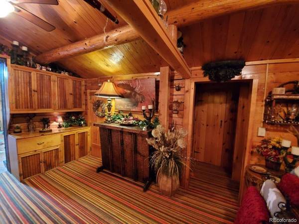 22585 County Road 292, Nathrop, CO 81236