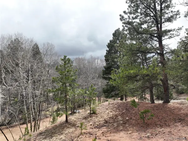 255 Pinon LN, Florissant, CO 80816