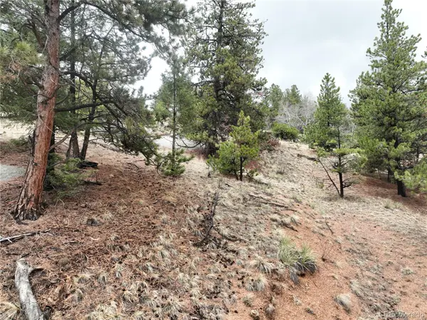 255 Pinon LN, Florissant, CO 80816