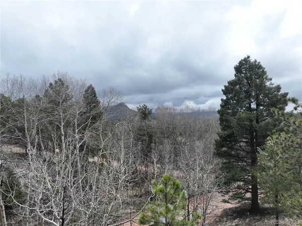 255 Pinon LN, Florissant, CO 80816