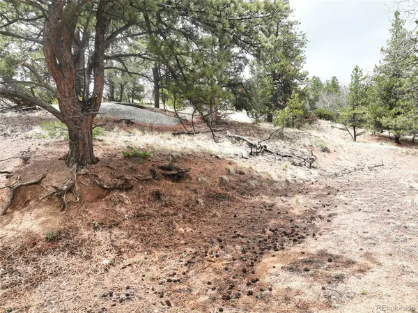 255 Pinon LN, Florissant, CO 80816