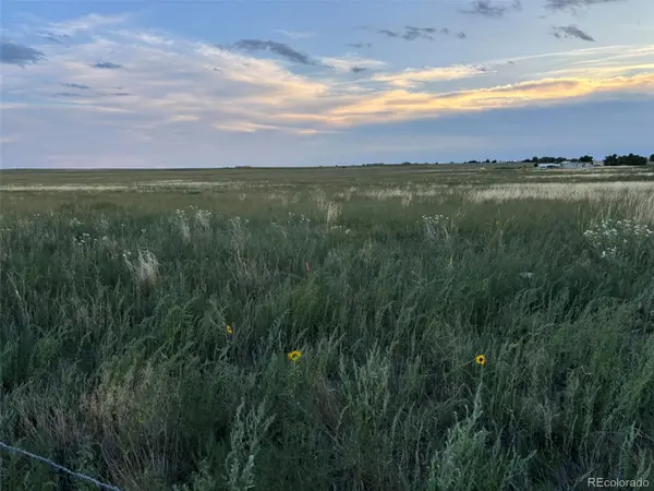 40655 Truckton RD, Rush, CO 80833