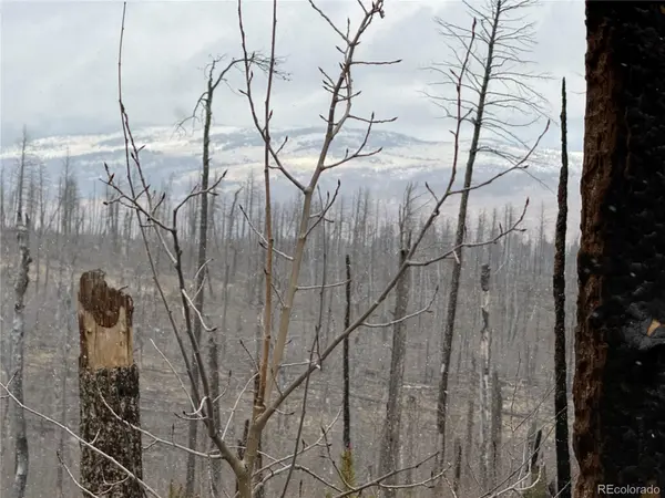 Lot 1960 Hilda LN, Fort Garland, CO 81133