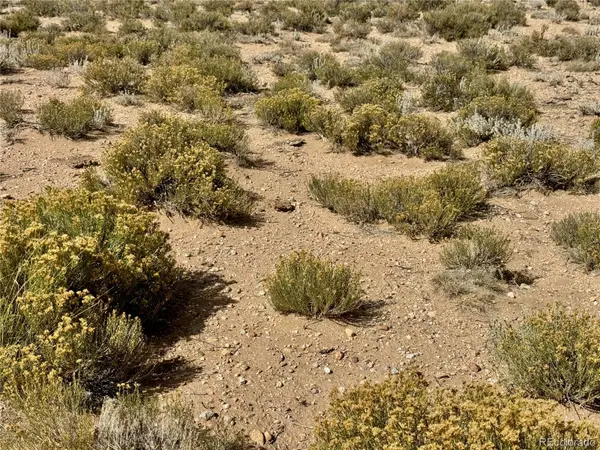 lot 7 Fourth ST, Blanca, CO 81123