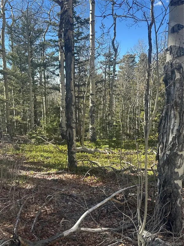 Lot 6744 Starkweather RD, San Luis, CO 81152