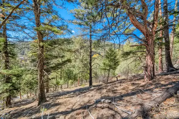 Elsie RD, Conifer, CO 80433