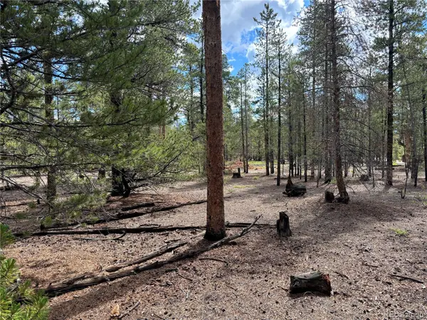399 Fir DR, Twin Lakes, CO 80461