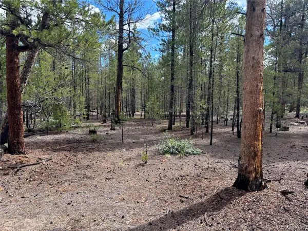 399 Fir DR, Twin Lakes, CO 80461