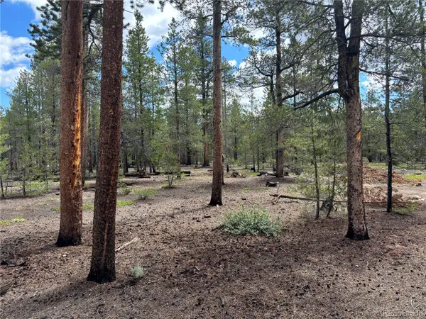 399 Fir DR, Twin Lakes, CO 80461