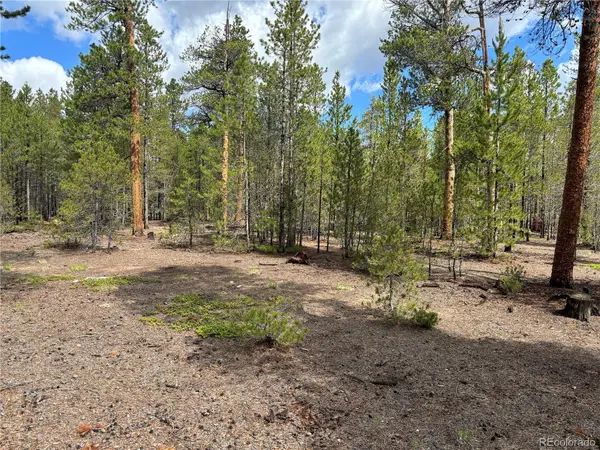 399 Fir DR, Twin Lakes, CO 80461