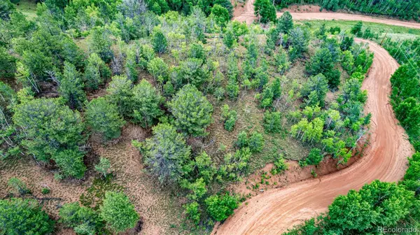 1693 Golden Cycle CIR, Cripple Creek, CO 80813
