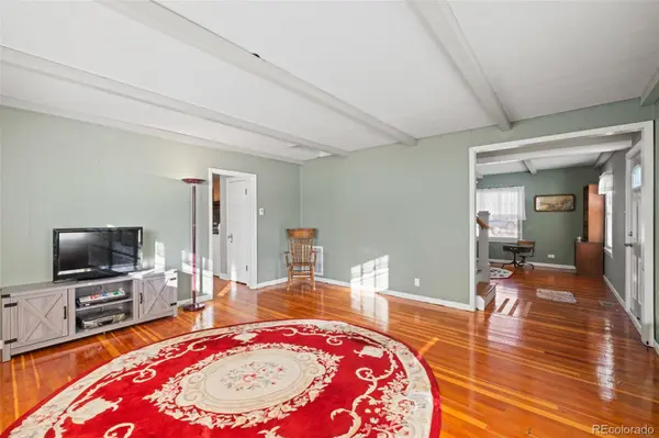 1608 Mount Massive DR, Leadville, CO 80461