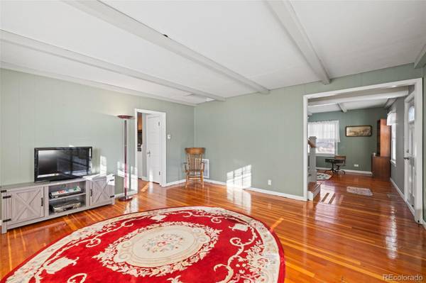1608 Mount Massive DR, Leadville, CO 80461
