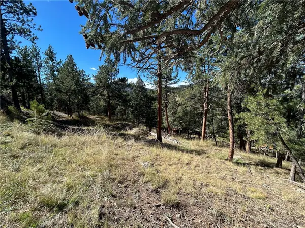 0 Pine RD, Evergreen, CO 80439