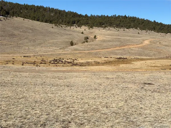 66 Wagon Wheel RD, Hartsel, CO 80449